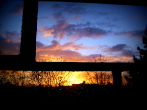 DSCF1452l